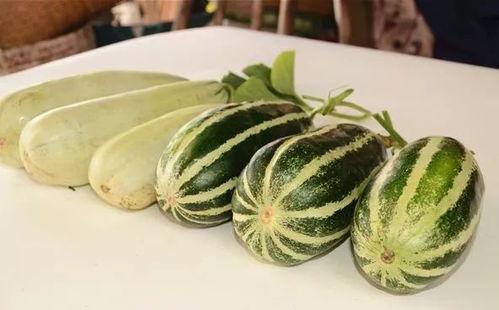 网红吃瓜原创作品,揭秘娱乐圈幕后真相，带你领略娱乐圈风云变幻