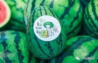 吃瓜网红最近消息,揭秘娱乐圈惊人内幕！