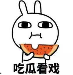 会长吃瓜爆料成果,吃瓜爆料背后的惊人真相